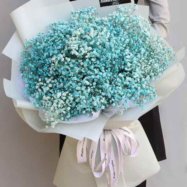 Đến ngay Shop Hoa Tươi Sunny để sở hữu những bó hoa baby đẹp, chất lượng nhất