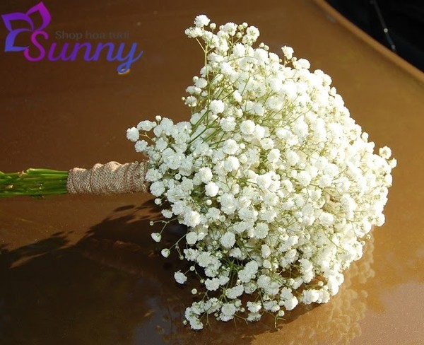hoa baby trắng hoa cưới