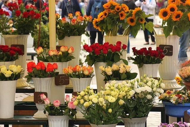 Shop hoa tươi tại Biên Hòa – An Nhiên Flower