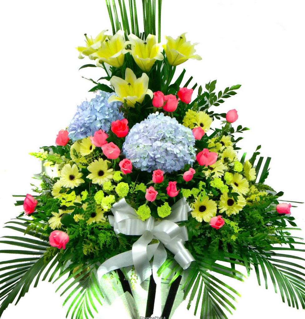 Hoa Tươi Đồng Nội - Shop hoa đẹp ở An GIang