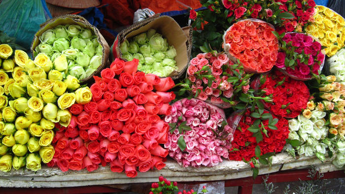 Shop hoa đẹp ở Thái Bình - Nhuong Flower