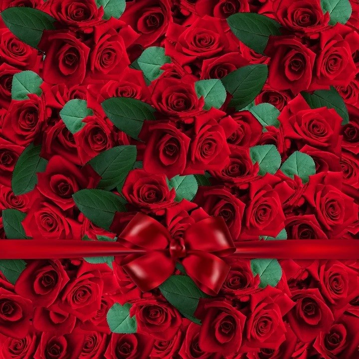 Shop hoa tươi Phong Lan – vương quốc của hoa hồng