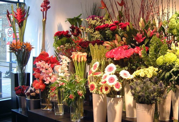 Mr Hoa.com - Cửa hàng hoa tươi Hòa Bình cực nhiều ưu đãi