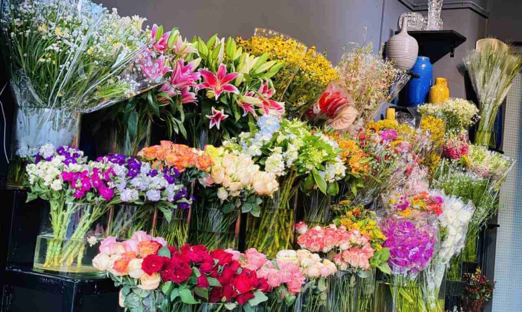 Shop hoa tươi Hòa Bình - Cửa hàng hoa tươi Bạc Liêu dành cho giới trẻ 