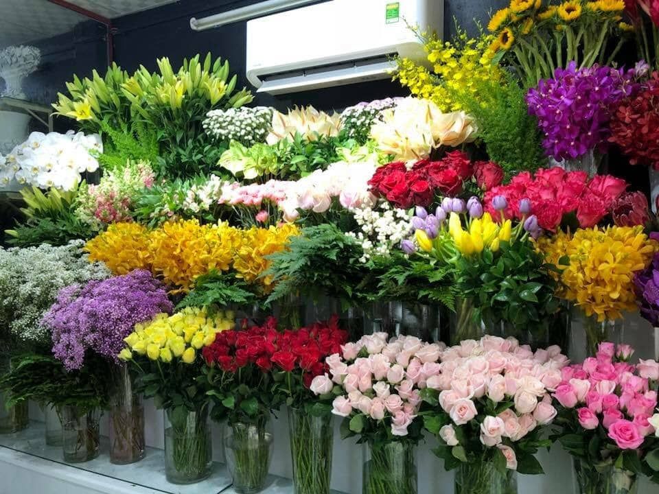 Shop Điện hoa Thái Bình - Shop hoa ở đẹp Thái Bình