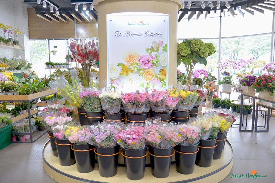 Tổng hợp các shop hoa tươi ở Lâm Đồng chất lượng