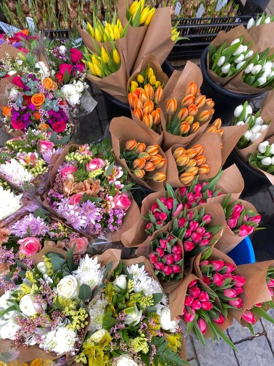 Pando - Cửa hàng hoa tươi Kon Tum đa dạng các mẫu hoa 