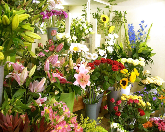 Tiệm Hoa 4 Mùa - Shop hoa tươi Kon Tum cung cấp dịch vụ cực tốt 