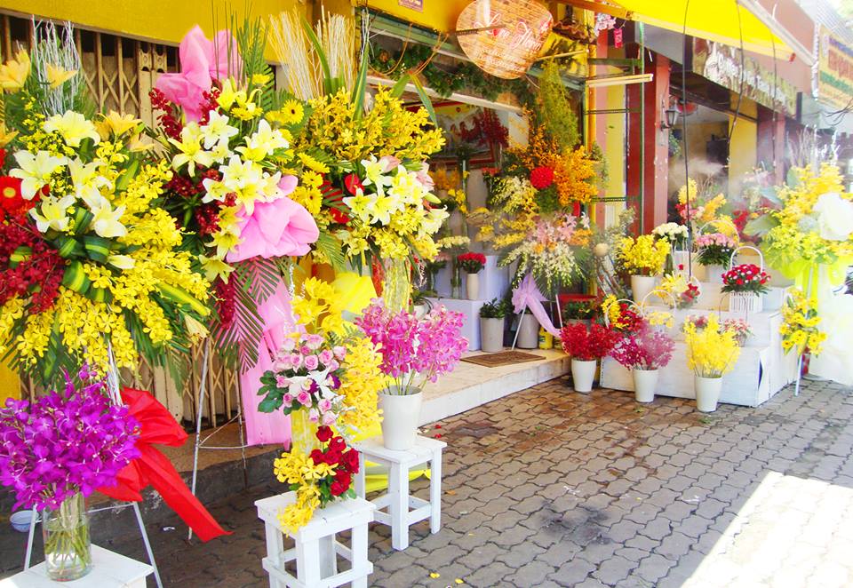 Shop hoa Vip- Chất lượng trên từng đóa hoa