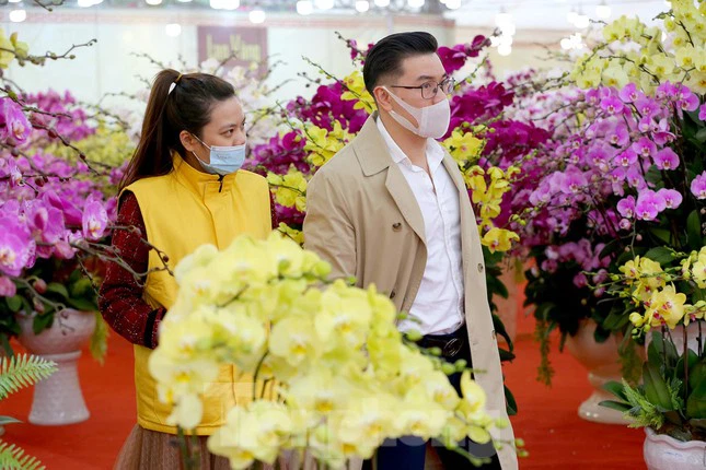 Cửa hàng hoa lan hồ điệp đẹp Hà Nội
