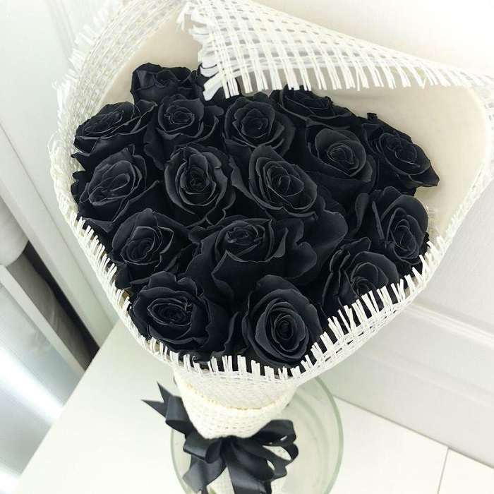 Hoa hồng đen sở hữu những đặc tính riêng biệt