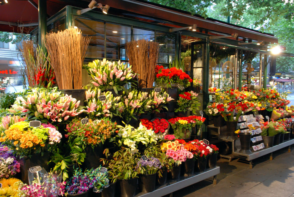 Shop hoa tươi Yume Flower - Giao hoa tận nhà 