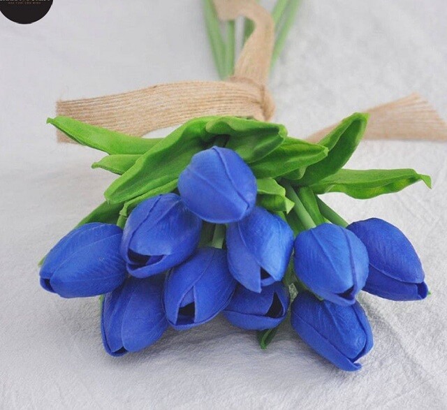 bó hoa tulip xanh