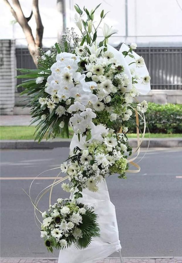 Hoa tang trắng Vô Cùng Tiếc Thương
